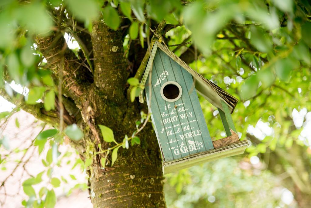 Ferienapartments Schnibbe Bad Lauterberg Kültér fotó